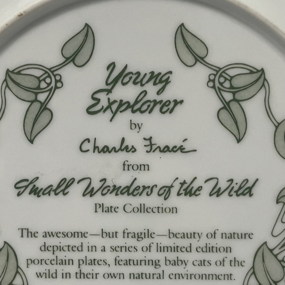 Young Explorer by Charles Fracé  Small Wonders of the Wild Plate # 3607 C - Picture 13 of 13